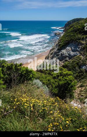 Vue depuis Castle Cove Lookout sur la Great Ocean Road, parc national de Port Campbell, Victoria, Australie Banque D'Images