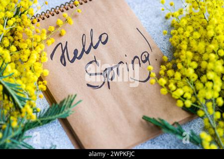 Hello Spring note avec des fleurs de mimosa brillantes Banque D'Images