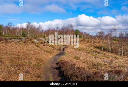 Sentier au-dessus de Stanton Moor au-dessus de Birchover dans le Derbyshire Peak District UK par une journée d'hiver ensoleillée Banque D'Images