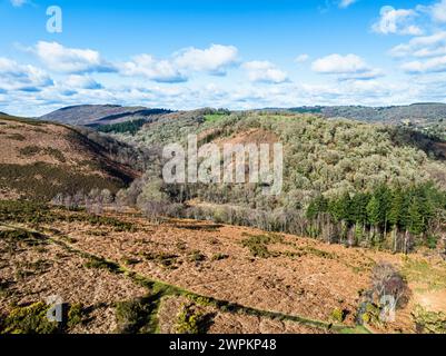 Hiver sur les collines et les vallées dans le parc de Dartmoor, réserve naturelle nationale de Dartmoor est, Yarner Wood, Bovey Tracey, Angleterre Banque D'Images