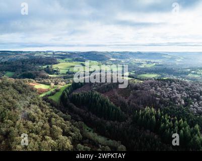 Hiver sur les collines et les vallées dans le parc de Dartmoor, réserve naturelle nationale de Dartmoor est, Yarner Wood, Bovey Tracey, Angleterre Banque D'Images