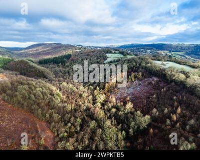 Hiver sur les collines et les vallées dans le parc de Dartmoor, réserve naturelle nationale de Dartmoor est, Yarner Wood, Bovey Tracey, Angleterre Banque D'Images