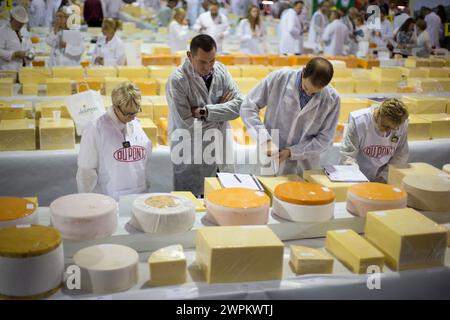 28/07/15 les juges recherchent le fromage gagnant parmi les 4592 participations aux International Cheese Awards, au Nantwich Show dans le Cheshire aujourd'hui. Toutes les plates-formes Banque D'Images