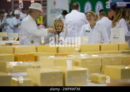 28/07/15 les juges recherchent le fromage gagnant parmi les 4592 participations aux International Cheese Awards, au Nantwich Show dans le Cheshire aujourd'hui. Toutes les plates-formes Banque D'Images