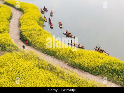 Chengdu. 7 mars 2024. Une photo de drone aérien prise le 7 mars 2024 montre des touristes sur des bateaux en train de profiter de la vue des fleurs de colza dans le village de Lianghe, ville de Qionglai, Chengdu, province du Sichuan, au sud-ouest de la Chine. Crédit : Jiang Hongjing/Xinhua/Alamy Live News Banque D'Images