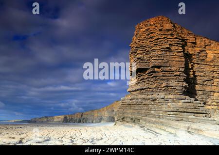 Falaises à Nash point, Glamorgan Heritage Coast, pays de Galles du Sud, Royaume-Uni, Europe Banque D'Images