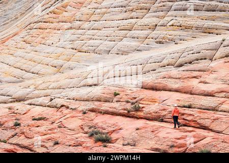 Une fille admirant les belles formations rocheuses dans le parc national de Zion pendant une journée d'été, Utah, États-Unis d'Amérique, Amérique du Nord Banque D'Images