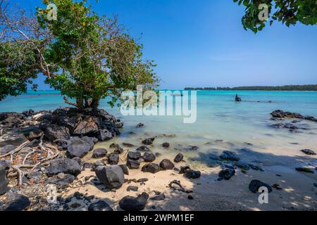 Vue de l'homme pêchant depuis la plage de Mont Choisy et turquoise Océan Indien par beau temps, Maurice, Océan Indien, Afrique Banque D'Images
