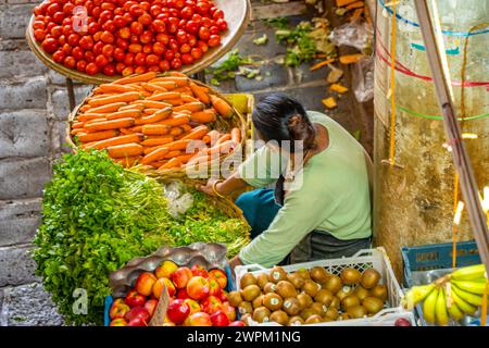 Vue de fruits et légumes colorés sur le marché central, Port Louis, Maurice, Océan Indien, Afrique Banque D'Images