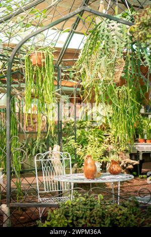 Une table et des chaises en bois sont placées parmi de nombreuses plantes vertes dans un cadre de jardin printanier animé. Banque D'Images