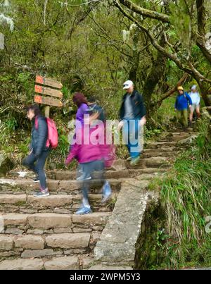 Un groupe de randonneurs montant et descendant des marches de pierre le long des sentiers de randonnée à diverses promenades levada à travers laurisilva dans la région de Rabacal, Madère, Portugal Banque D'Images