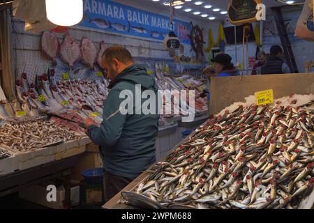 Stand de marché vendant du poisson fraîchement pêché dans le Bosphore, à Istanbul, Turquie Banque D'Images