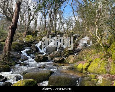 Becky Falls à l'est de Dartmoor. Banque D'Images