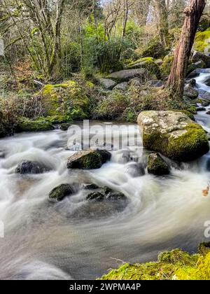 Becky Falls à l'est de Dartmoor. Banque D'Images