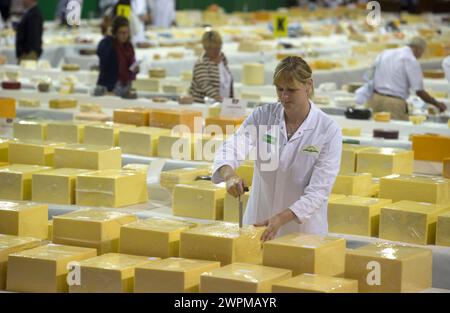 26/06/16 Sarah Hinchliffe, technologue laitière, échantillonne un des fromages. Il faut plus de 250 juges pour se frayer un chemin à travers les 5 000 plus ch Banque D'Images