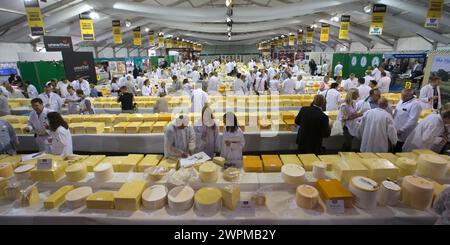 26/06/16 il faut plus de 250 juges pour se frayer un chemin à travers plus de 5 000 fromages présentés lors des International Cheese Awards annuels, Being Banque D'Images