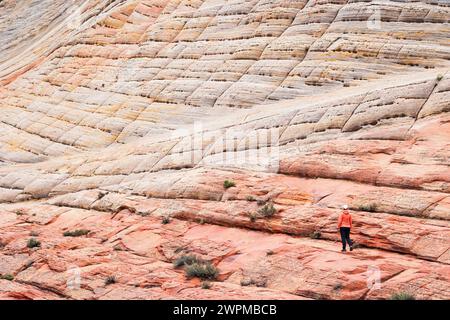 Une fille admirant les magnifiques formations rocheuses du parc national de Zion pendant une journée d'été, Utah, États-Unis d'Amérique, Amérique du Nord Copyright : carl Banque D'Images