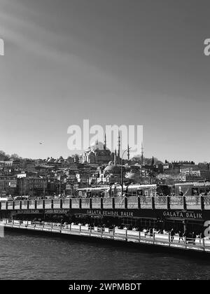 Istanbul, Turquie - 23 janvier 2024 : vue depuis les rues d'Eminonu, architecture générique du côté européen d'Istanbul. Mosquée Suleymaniye dans la BA Banque D'Images