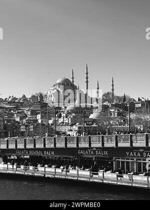 Istanbul, Turquie - 23 janvier 2024 : vue depuis les rues d'Eminonu, architecture générique du côté européen d'Istanbul. Mosquée Suleymaniye dans la BA Banque D'Images