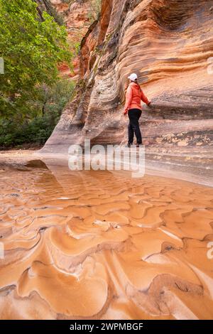 Une fille admirant les magnifiques formations rocheuses du parc national de Zion pendant une journée d'été, Utah, États-Unis d'Amérique, Amérique du Nord Copyright : carl Banque D'Images