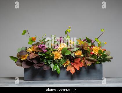 Arrangement floral horizontal de thème d'automne avec feuillage fourré et fleurs dans une longue boîte en bois gris vu sur un fond gris. Banque D'Images