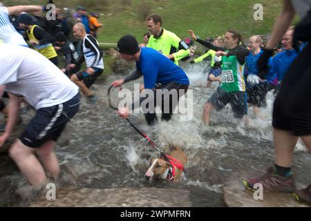 06/11/16 ***AVEC VIDÉO*** malgré les températures qui montent à peine au-dessus du point de congélation, environ 1 400 coureurs fous ont relevé le défi de cross-country d'un quatre Banque D'Images