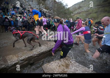 06/11/16 ***AVEC VIDÉO*** malgré les températures qui montent à peine au-dessus du point de congélation, environ 1 400 coureurs fous ont relevé le défi de cross-country d'un quatre Banque D'Images