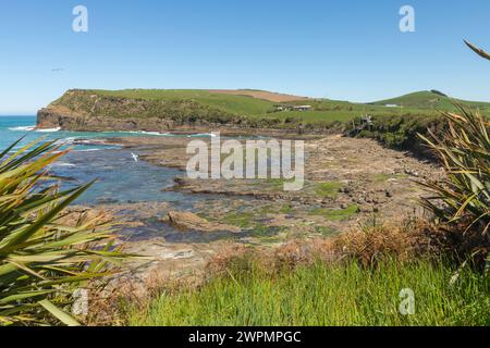 Une vue de Curio Bay dans le district de Southland dans le sud de la Nouvelle-Zélande, qui abrite une rare forêt de conifères pétrifiés du Jurassique datant d'environ 180 millions Banque D'Images