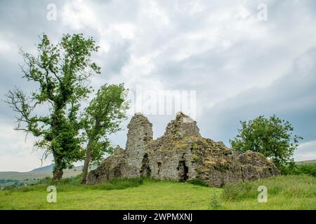 La nature récupérant son territoire comme les ruines d'un château se dressent fièrement dans un champ, faisant écho aux récits d'une époque lointaine. #heritage Banque D'Images