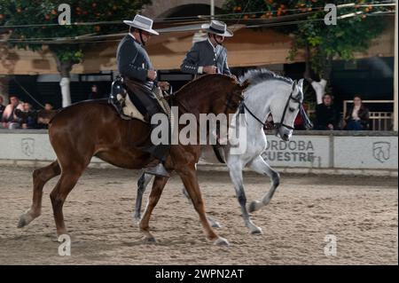 Las Caballerizas Reales de Cordoue (les écuries royales de Cordoue) Une troupe de Vaqueros (cow-boys espagnols) prenant part à la formation de manège musical Banque D'Images