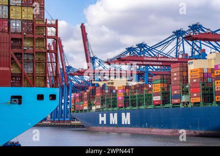 Magleby Maersk container Freighter au terminal à conteneurs EUROGATE, Waltershofer Hafen, est l'un des plus grands porte-conteneurs au monde, capacité de Banque D'Images