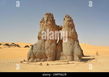 Sculpture rocheuse représentant la soi-disant vache qui pleure dans le désert algérien du Sahara Banque D'Images