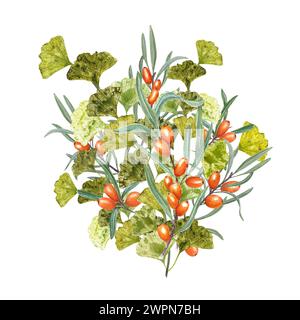 Branche de Gingko et argousier juteux. Bouquet de baies oranges mûres et de feuilles vertes. Biloba, Thorn. Illustration aquarelle pour la conception Banque D'Images