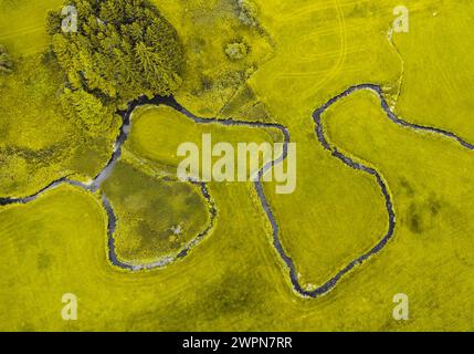 Vue aérienne d'un petit ruisseau sinueux serpentant à travers un paysage de prairie dans l'est de Allgäu devant une petite forêt. Allgäu est, Allgäu, Bavière, Allemagne du Sud, Allemagne Banque D'Images