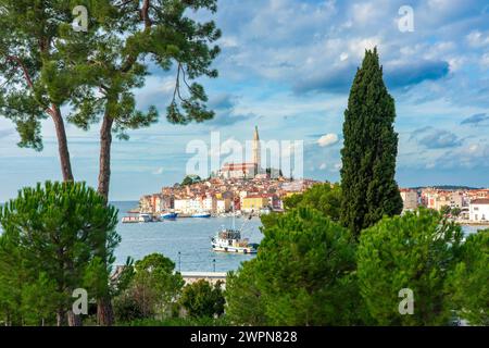 Jardin vert grand parc à Rovinj Croatie avec belle vue sur la ville. Banque D'Images