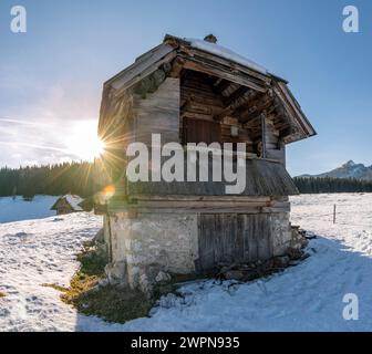 Pokljuka est un plateau alpin du nord-ouest de la Slovénie. Il est situé dans le parc national du Triglav dans les Alpes juliennes à environ 1300 m d'altitude. Banque D'Images