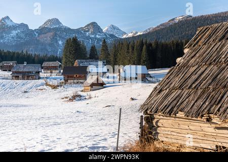 Pokljuka est un plateau alpin du nord-ouest de la Slovénie. Il est situé dans le parc national du Triglav dans les Alpes juliennes à environ 1300 m d'altitude. Banque D'Images