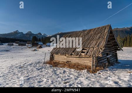 Pokljuka est un plateau alpin du nord-ouest de la Slovénie. Il est situé dans le parc national du Triglav dans les Alpes juliennes à environ 1300 m d'altitude. Banque D'Images