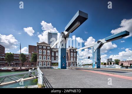 Marina, port, bateaux, Entrepot port, Kop van zuid, façade de maison, point de repère, architecture, vue sur la ville, Rotterdam, pays-Bas, Banque D'Images