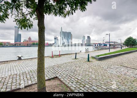 Boompjeskade, pont Erasmus, pont à haubans, Nieuwe Maas, Delta Rhin-Meuse, pont à haubans, Rotterdam, pays-Bas, Banque D'Images