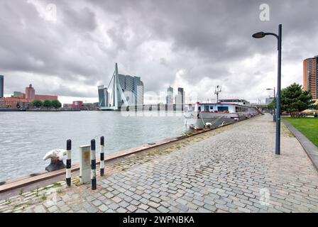 Boompjeskade, pont Erasmus, pont à haubans, Nieuwe Maas, Delta Rhin-Meuse, pont à haubans, Rotterdam, pays-Bas, Banque D'Images