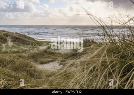 Paysage de dunes au bord de la mer avec focus en arrière-plan Banque D'Images