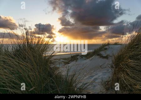 Coucher de soleil, côte, plage, mer, Danemark, mise au point au premier plan Banque D'Images