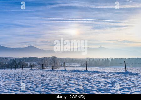 Allemagne, Bavière, Pfaffenwinkel, Penzberg, produits Johannisrain, paysage hivernal contre les contreforts des Alpes Banque D'Images