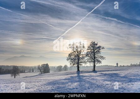 Allemagne, Bavière, Pfaffenwinkel, Penzberg, Sankt Johannisrain, paysage d'hiver avec chênes et église Johannisrain Banque D'Images