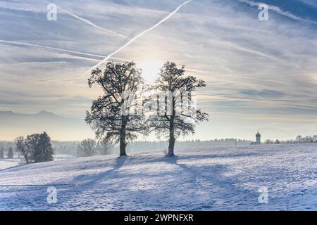 Allemagne, Bavière, Pfaffenwinkel, Penzberg, Sankt Johannisrain, paysage d'hiver avec chênes et église Johannisrain Banque D'Images