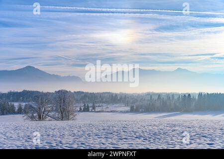 Allemagne, Bavière, Pfaffenwinkel, Penzberg, produits Johannisrain, paysage hivernal contre les contreforts des Alpes Banque D'Images