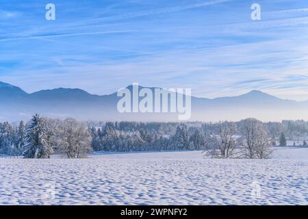 Allemagne, Bavière, Pfaffenwinkel, Penzberg, produits Johannisrain, paysage hivernal contre les contreforts des Alpes Banque D'Images