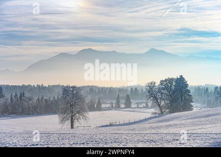 Allemagne, Bavière, Pfaffenwinkel, Penzberg, produits Johannisrain, paysage hivernal contre les contreforts des Alpes Banque D'Images