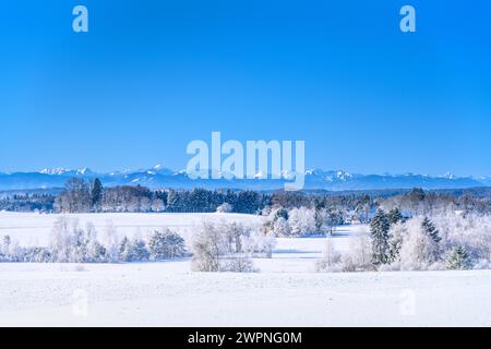 Allemagne, Bavière, Tölzer Land, Egling, district Schönberg, paysage hivernal contre les Alpes Banque D'Images